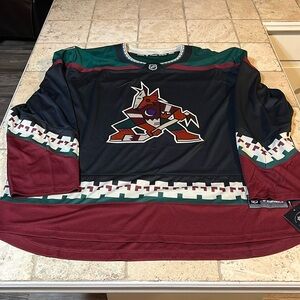 Men's Arizona Coyotes Fanatics Black Home Breakaway Jersey 4XL